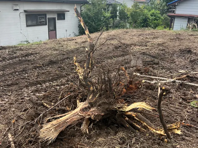 作業外注一切なし◎予約対応～作業完了まで、当社スタッフがすべてご対応！サービスの画像