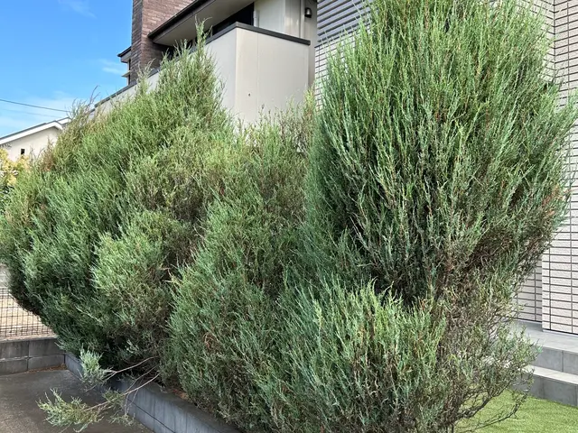 3年間100件以上の実績！大手企業も信頼するスペシャリストがご要望に完全対応サービスの画像