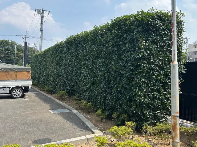 3年間100件以上の実績！大手企業も信頼するスペシャリストがご要望に完全対応サービスの画像