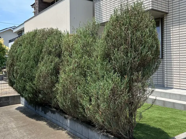 3年間100件以上の実績！大手企業も信頼するスペシャリストがご要望に完全対応サービスの画像