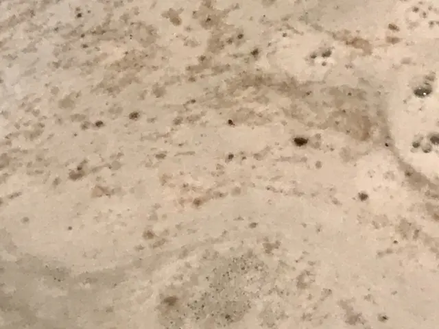 『風呂釜洗浄技師』浴室＆追焚配管セット23,000/講師/大手洗剤メーカー監修者サービスの画像