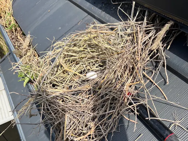 ベランダネット1日施工可！太陽光対策も承っております。サービスの画像