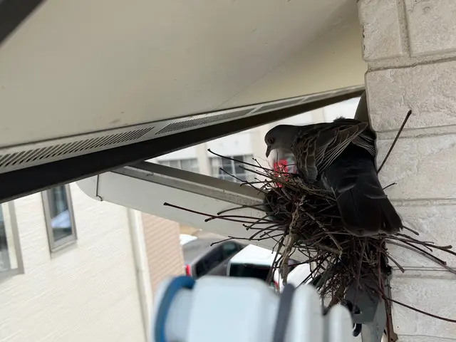 ベランダネット1日施工可！太陽光対策も承っております。サービスの画像