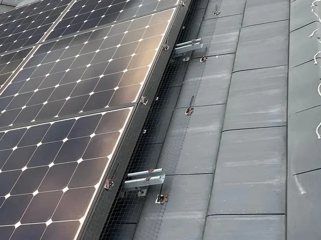 ベランダネット1日施工可！太陽光対策も承っております。サービスの画像