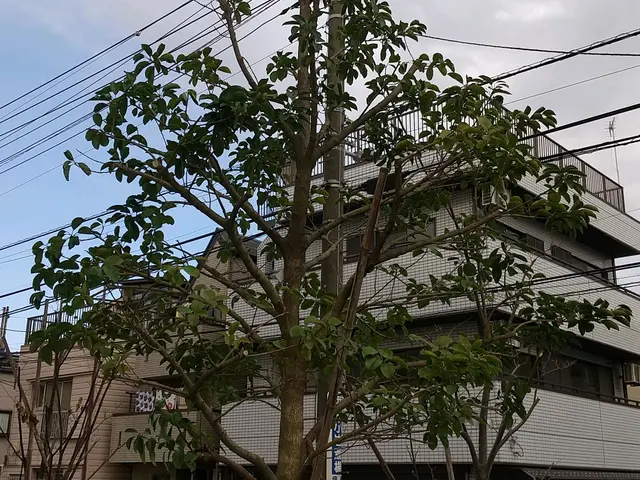 【職人歴４３年！】実績豊富な店長の私がお伺います！駐車代は当店負担！サービスの画像