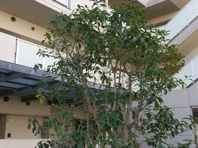 【職人歴４３年！】実績豊富な店長の私がお伺います！駐車代は当店負担！サービスの画像