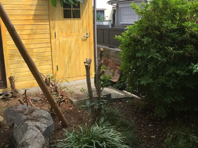 ★まとめ割2本目から20%引き【造園国家資格保有】どんな難度の伐採でも対応可！サービスの画像