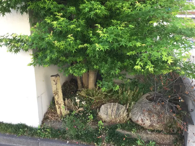 ★まとめ割2本目から20%引き【造園国家資格保有】どんな難度の伐採でも対応可！サービスの画像