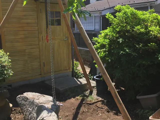 ★まとめ割2本目から20%引き【造園国家資格保有】どんな難度の伐採でも対応可！サービスの画像