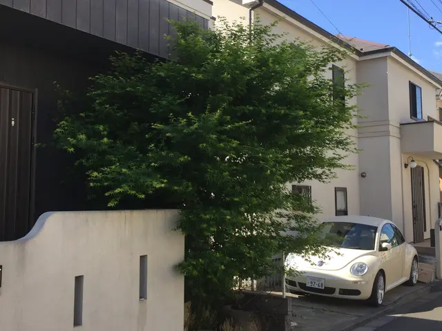 ★まとめ割2本目から20%引き【造園国家資格保有】どんな難度の伐採でも対応可！サービスの画像