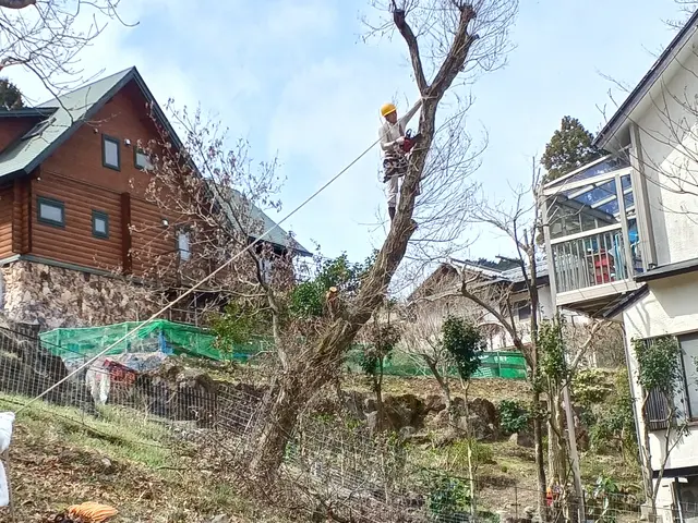 ☆空き家対策協会会員◎業歴13年の店長が対応◎特殊伐採も対応サービスの画像