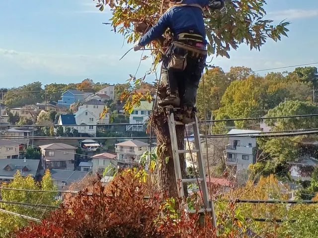 ☆空き家対策協会会員◎業歴13年の店長が対応◎特殊伐採も対応サービスの画像