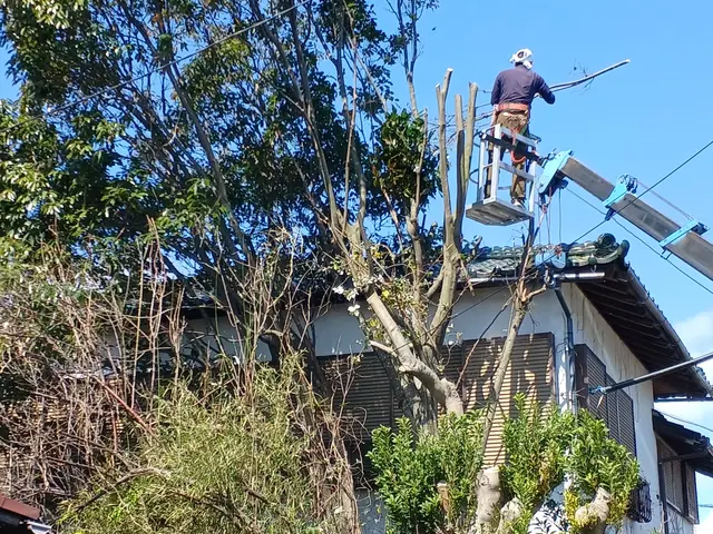 ☆空き家対策協会会員◎業歴13年の店長が対応◎特殊伐採も対応サービスの画像