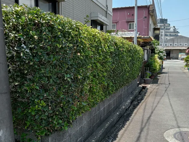 ★お安くキレイにしませんか★こだわりなくとにかく安く仕上げたい方必見★サービスの画像