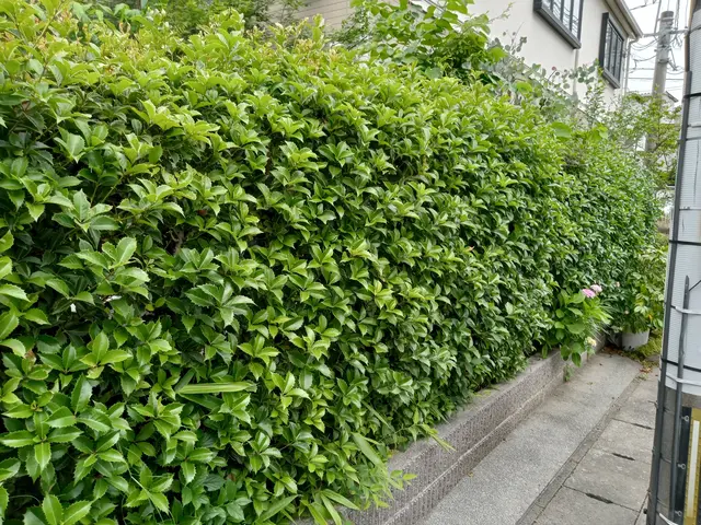 ★お安くキレイにしませんか★こだわりなくとにかく安く仕上げたい方必見★サービスの画像