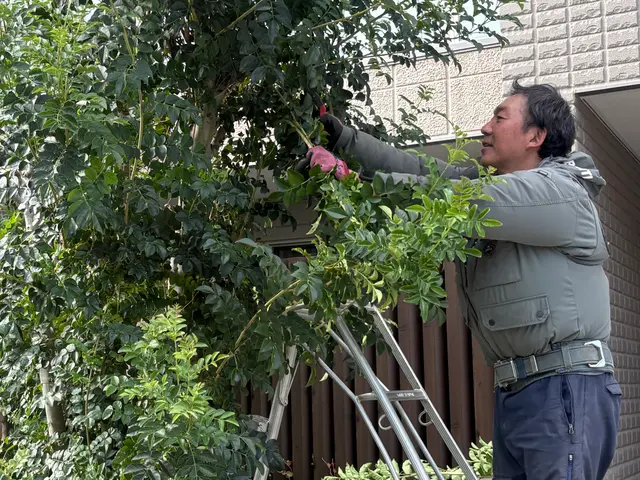 26年の経験でお庭のパートナーとして1本からでも気軽にご相談くださいサービスの画像