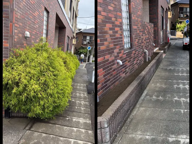 新年を綺麗なお庭で迎えませんか？お庭のことなら庭　翔黒にお任せください。サービスの画像