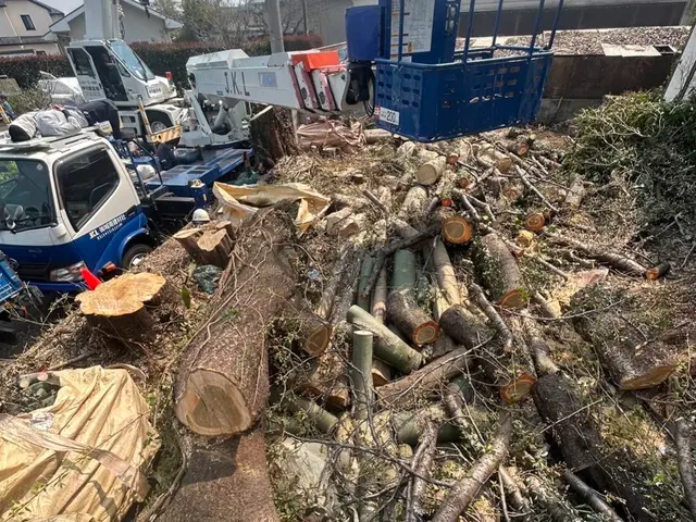 新年を綺麗なお庭で迎えませんか？お庭のことなら庭　翔黒にお任せください。サービスの画像