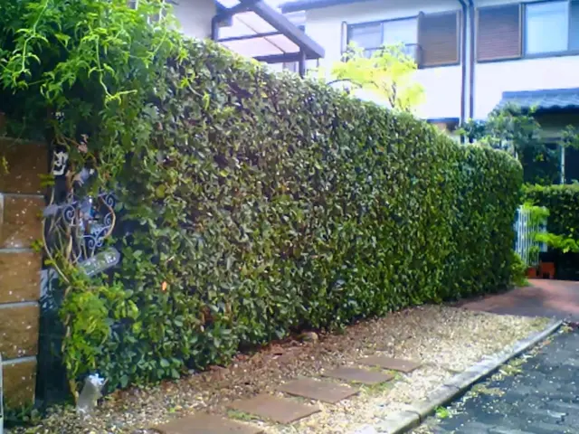 【岡山県中心に対応します】当店スタッフが迅速・丁寧に対応いたします！サービスの画像