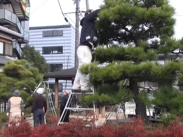 【岡山県中心に対応します】当店スタッフが迅速・丁寧に対応いたします！サービスの画像