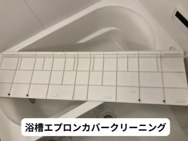 浴室クリーニング　換気扇分解清掃・防カビコート・エプロン内高圧洗浄オプション対応サービスの画像