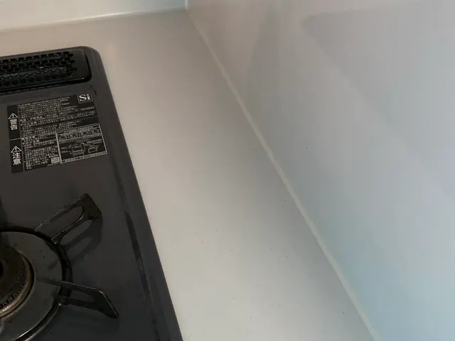 大手業務経験豊富！プロの技術でご満足いただけるように心を込めて作業いたしますサービスの画像