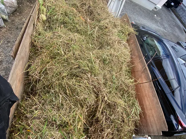 新規事業参入キャンペーン！草刈りできませんか？のお声が増えてきたので追加します！サービスの画像