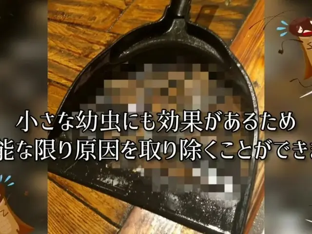 お見積無料！　店舗様向け　（飲食店・他店舗・ホテル・デパート・ネットカフェ等）サービスの画像
