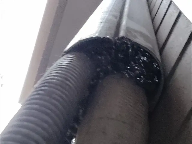 追加料金無し！プロの技術でゴキブリを完全駆除！侵入口を塞ぎ、再発防止！！！サービスの画像