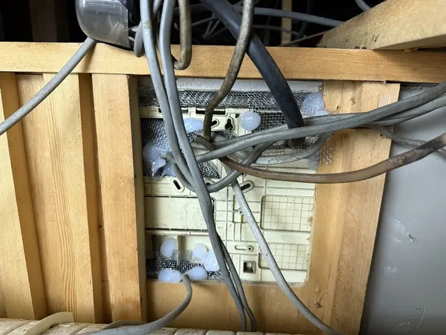 追加料金無し！プロの技術でゴキブリを完全駆除！侵入口を塞ぎ、再発防止！！！サービスの画像