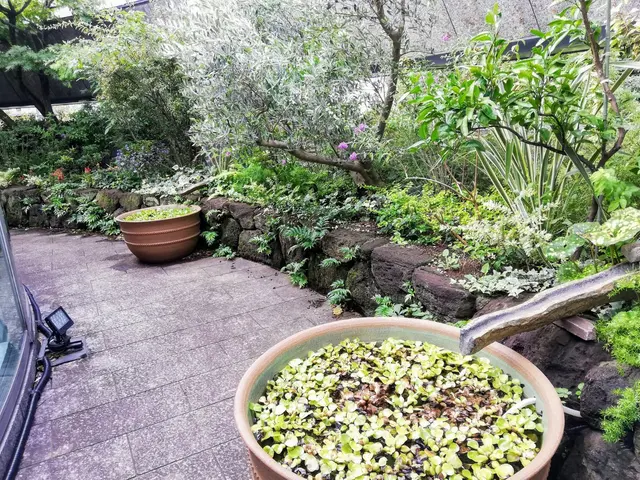 茂り過ぎや不格好な枝をカットして庭木もお庭も綺麗に仕上げます！◇神奈川、都内近郊サービスの画像