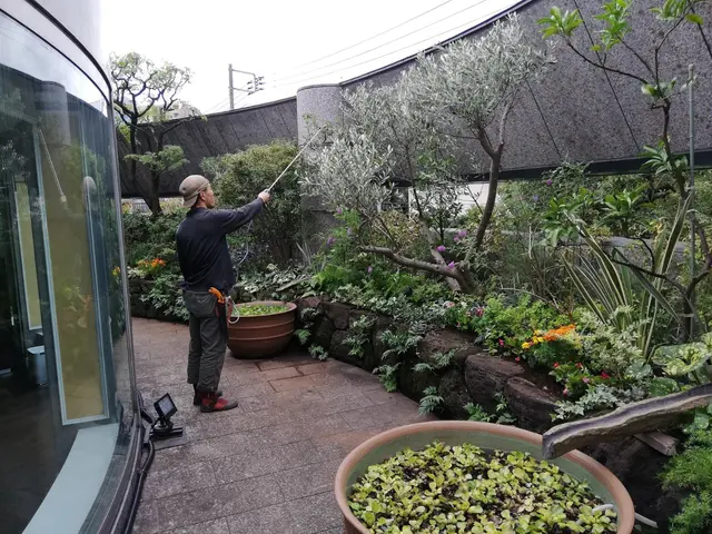 茂り過ぎや不格好な枝をカットして庭木もお庭も綺麗に仕上げます！◇神奈川、都内近郊サービスの画像