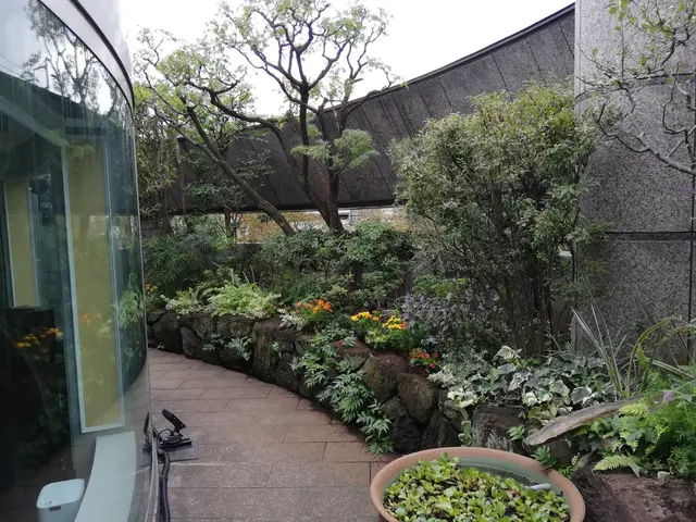 茂り過ぎや不格好な枝をカットして庭木もお庭も綺麗に仕上げます！◇神奈川、都内近郊サービスの画像