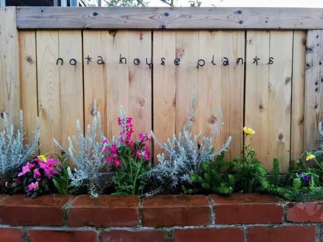 茂り過ぎや不格好な枝をカットして庭木もお庭も綺麗に仕上げます！◇神奈川、都内近郊サービスの画像