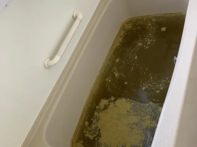 風呂釜配管の皮脂汚れ、無数の菌を独自の洗浄技術と除菌仕上げで隅々まできれいに！サービスの画像