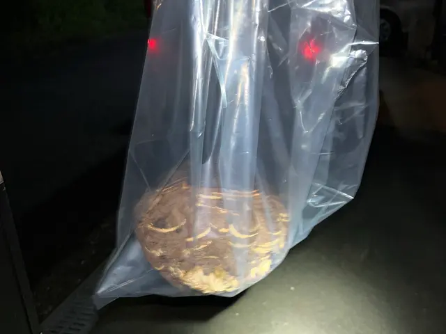 大阪・奈良を中心に近畿一円で活動してます！蜂の巣駆除ならお任せください！サービスの画像