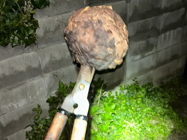 大阪・奈良を中心に近畿一円で活動してます！蜂の巣駆除ならお任せください！サービスの画像