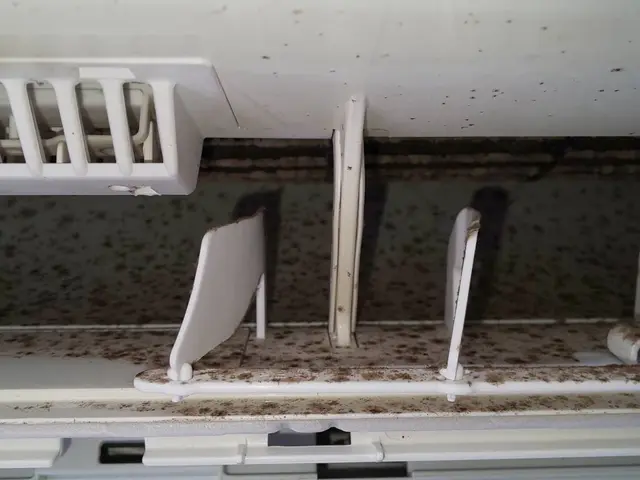 年間実績800台！年中無休・土日祝日大歓迎！　ペットお子様にも安心のエコ洗剤使用サービスの画像