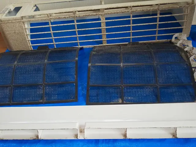 年間実績800台！年中無休・土日祝日大歓迎！　ペットお子様にも安心のエコ洗剤使用サービスの画像