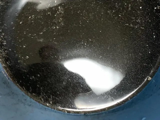 年間実績800台！年中無休・土日祝日大歓迎！　ペットお子様にも安心のエコ洗剤使用サービスの画像