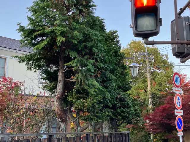 ◆損害保険加入済みで安心◎◆営業時間外のご予約もご相談可能です！サービスの画像