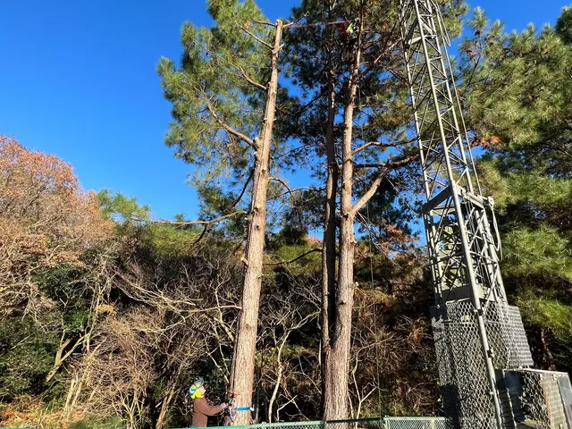静岡県西部【優良】口コミ No.1☆ダイレイ造園🄬☆国家認定資格者☆技術と信頼サービスの画像