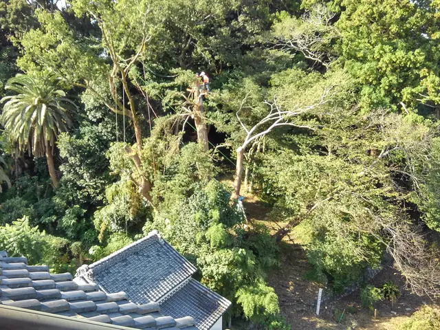 静岡県西部【優良】口コミ No.1☆ダイレイ造園🄬☆国家認定資格者☆技術と信頼サービスの画像