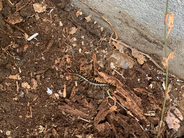 ☆親切丁寧☆ 地域密着！いつでもお気軽にご相談下さい  PayPay可！サービスの画像