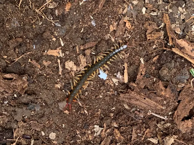 ☆親切丁寧☆ 地域密着！いつでもお気軽にご相談下さい  PayPay可！サービスの画像