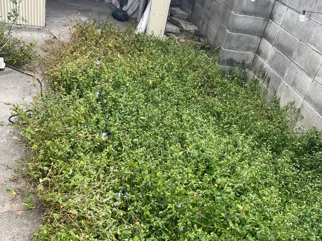 三方よしの便利屋です。迅速・丁寧・親切！縁を大切に致します。サービスの画像