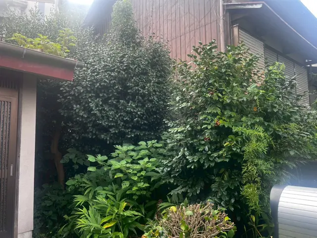 《作業外注一切なし》《女性スタッフ在籍》一級造園施工管理技士がお庭をスッキリ！サービスの画像