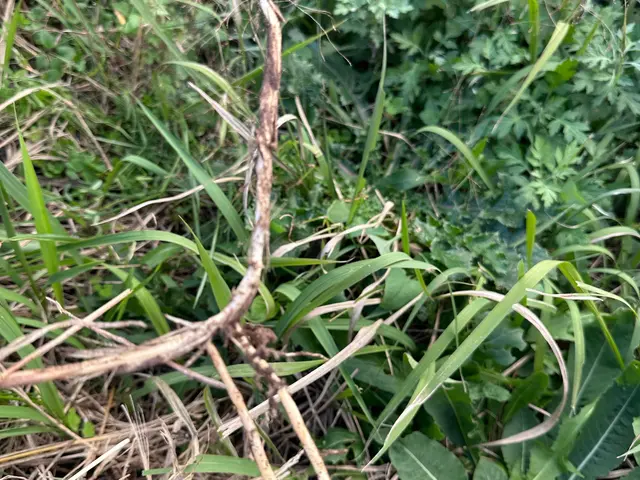 《年中無休》八街市から伺います◆豊富な経験と知識で安心！サービスの画像