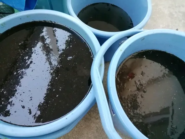 防カビ・消臭コート無料。しっかり臭い、汚れを落とします。サービスの画像