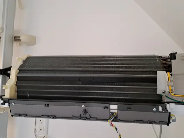 防カビ・消臭コート無料。しっかり臭い、汚れを落とします。サービスの画像